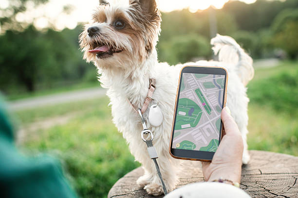 GPS vs. Bluetooth vs. AirTag-style tracking: what’s the difference?