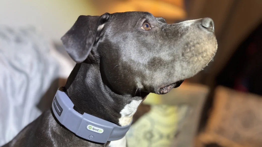 Battery life and reliability: what to expect from trackers