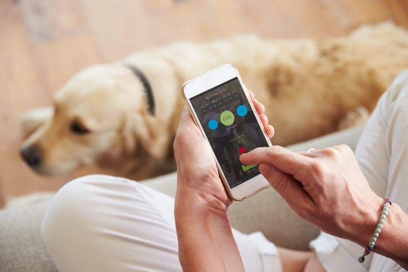 Using activity data to spot early health issues