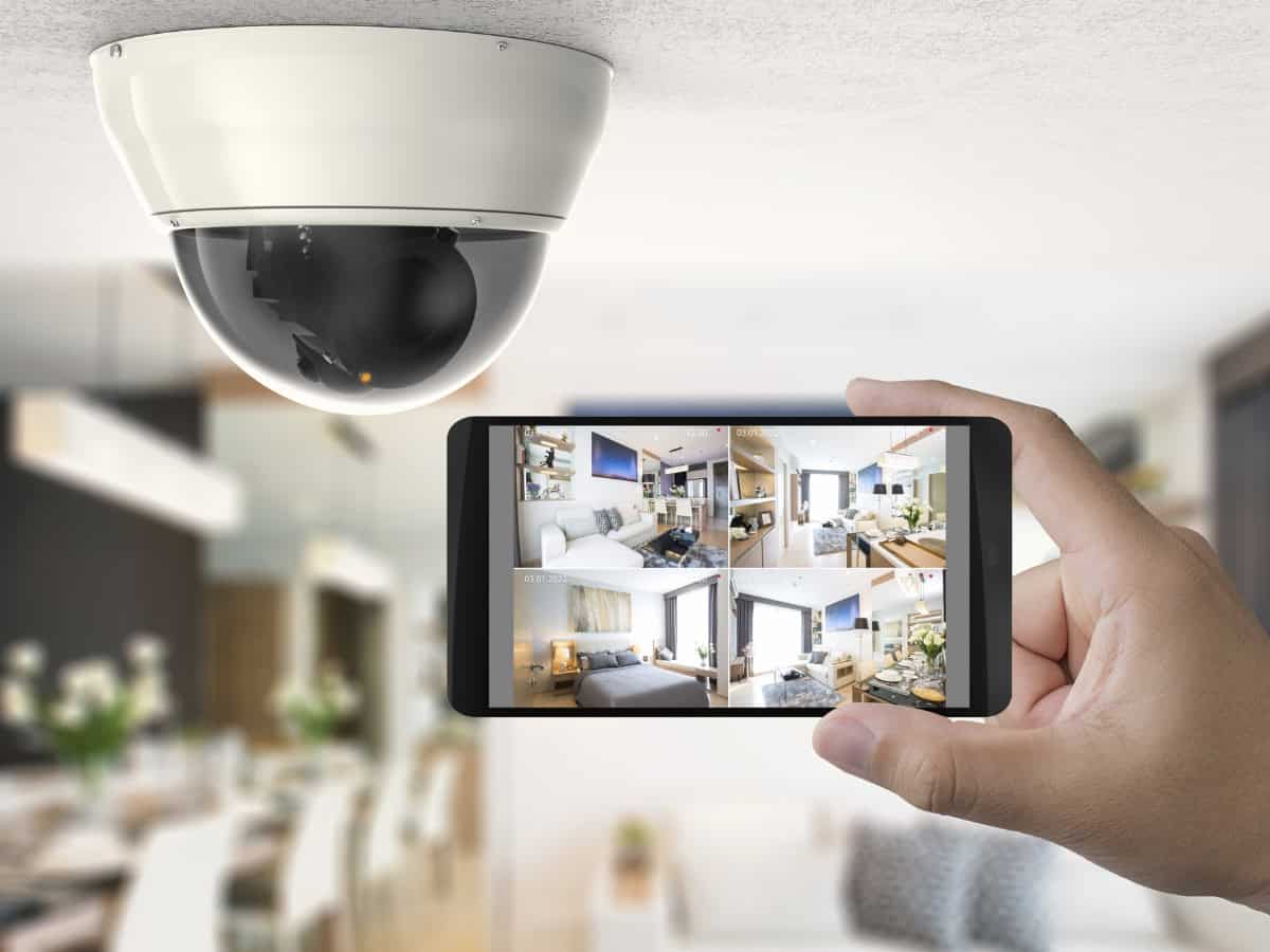 Using cameras to monitor dogs home alone without going crazy