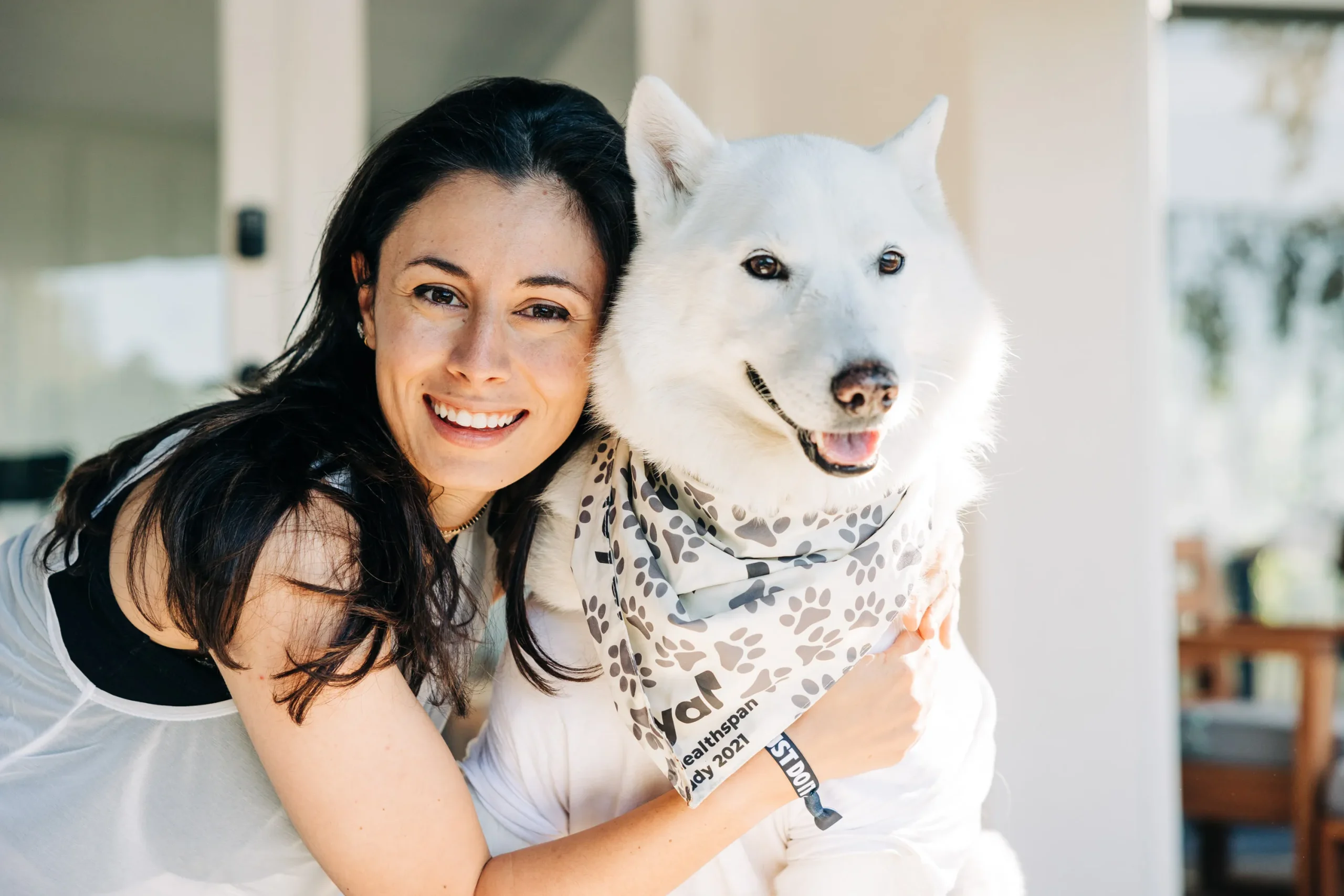 Can technology extend your dog’s healthy years?