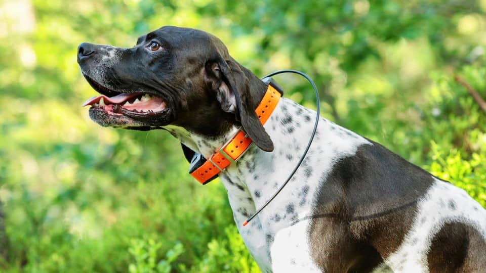 How to use GPS safe zones without false alarms